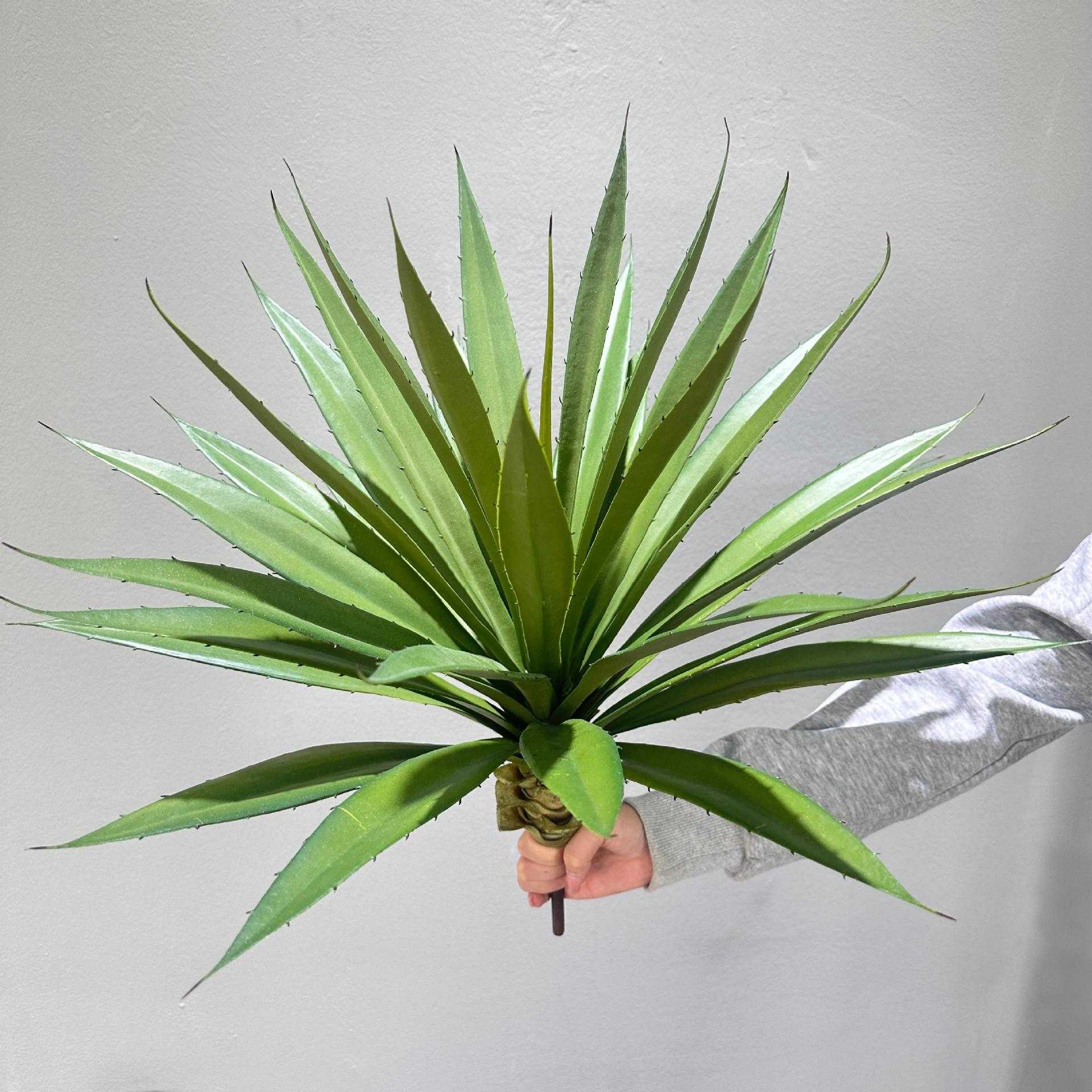 仿真剑兰龙舌兰盆栽假绿植王冠30