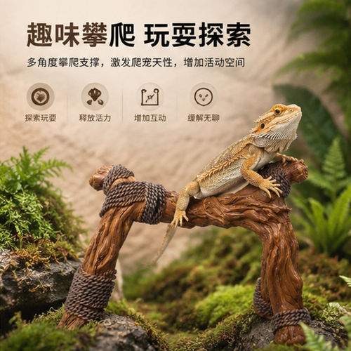 爬宠专用麻绳攀爬绳+树脂造景