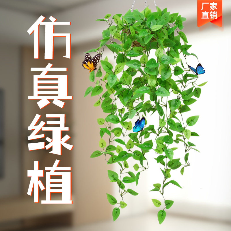 仿真绿萝壁挂植物室内装饰绿藤花图片