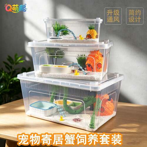 活体寄居蟹专用饲养箱套装含水盆
