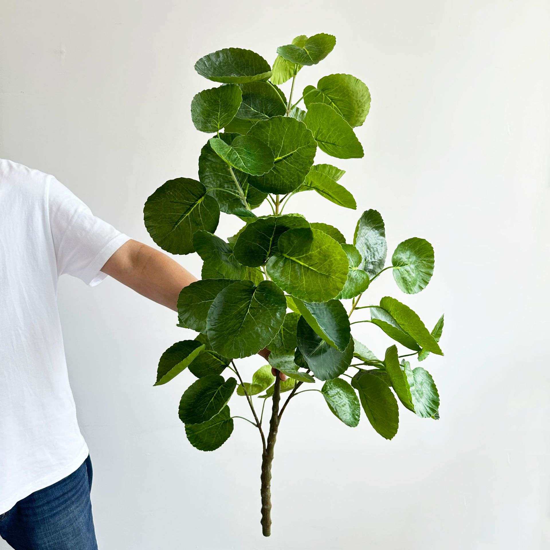 仿真绿植金钱兜福禄桐叶铜钱叶假