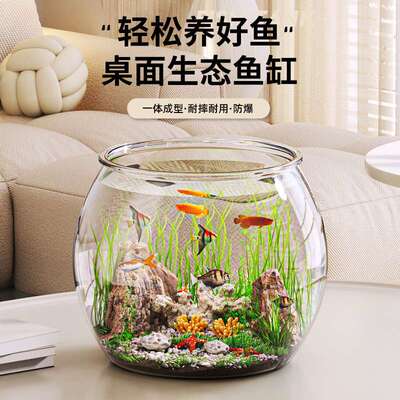 阔庭小金鱼缸造景桌面微景观透明