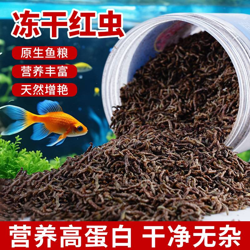 红虫鱼食冻干高蛋白水族饲料金鱼