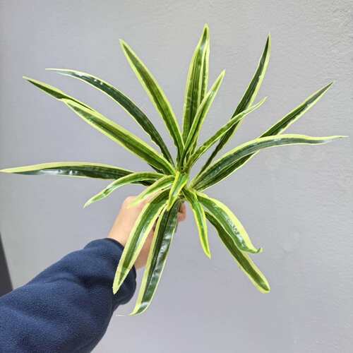 仿真绿植吊兰草户外家居绿化造景