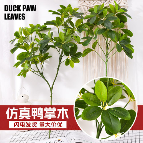 仿真鸭掌木绿植单枝室内摆件高端