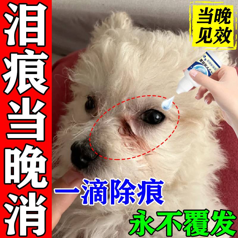 狗狗专用泪痕去除液|比熊泰迪去