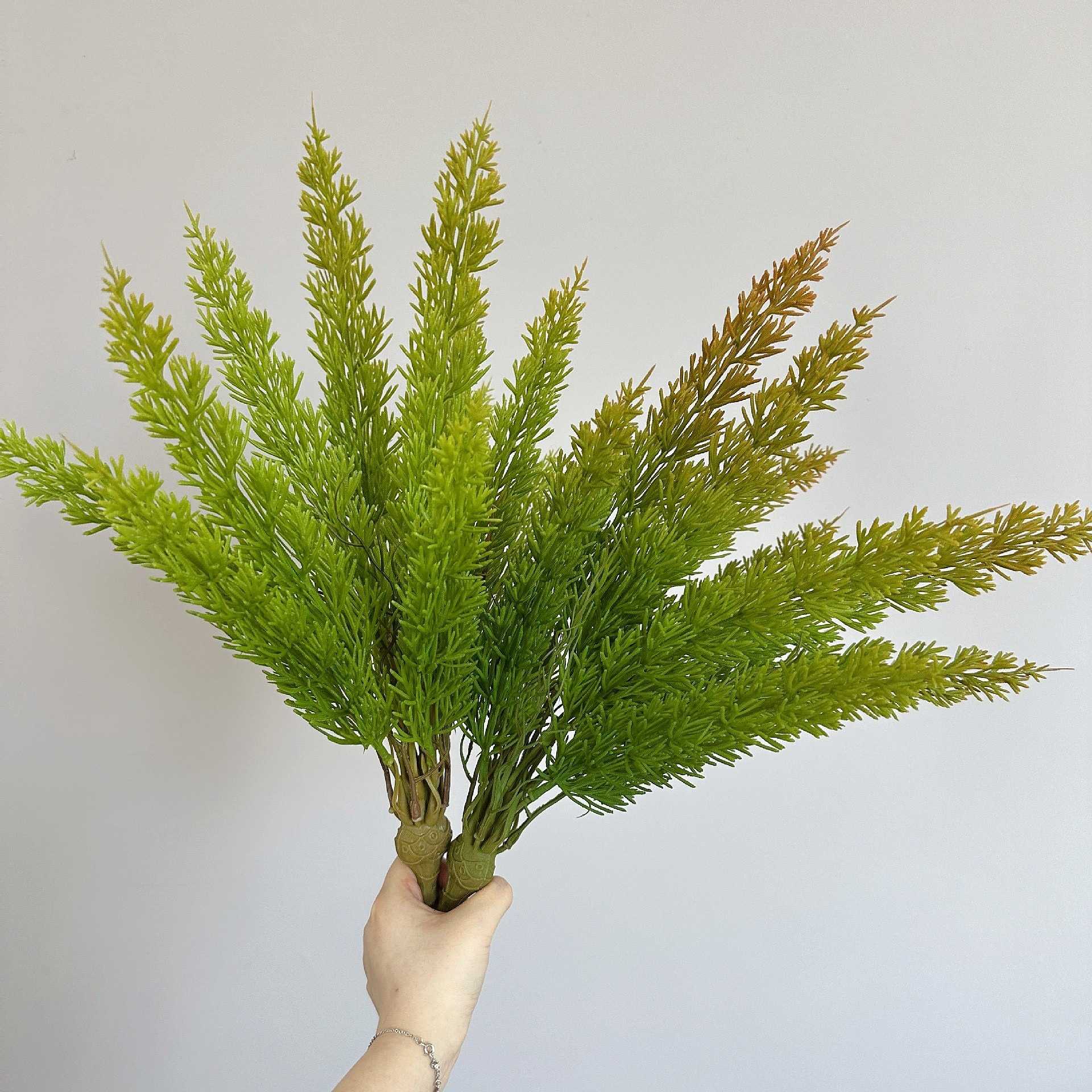 狐尾天门冬草仿真绿植热带波斯30