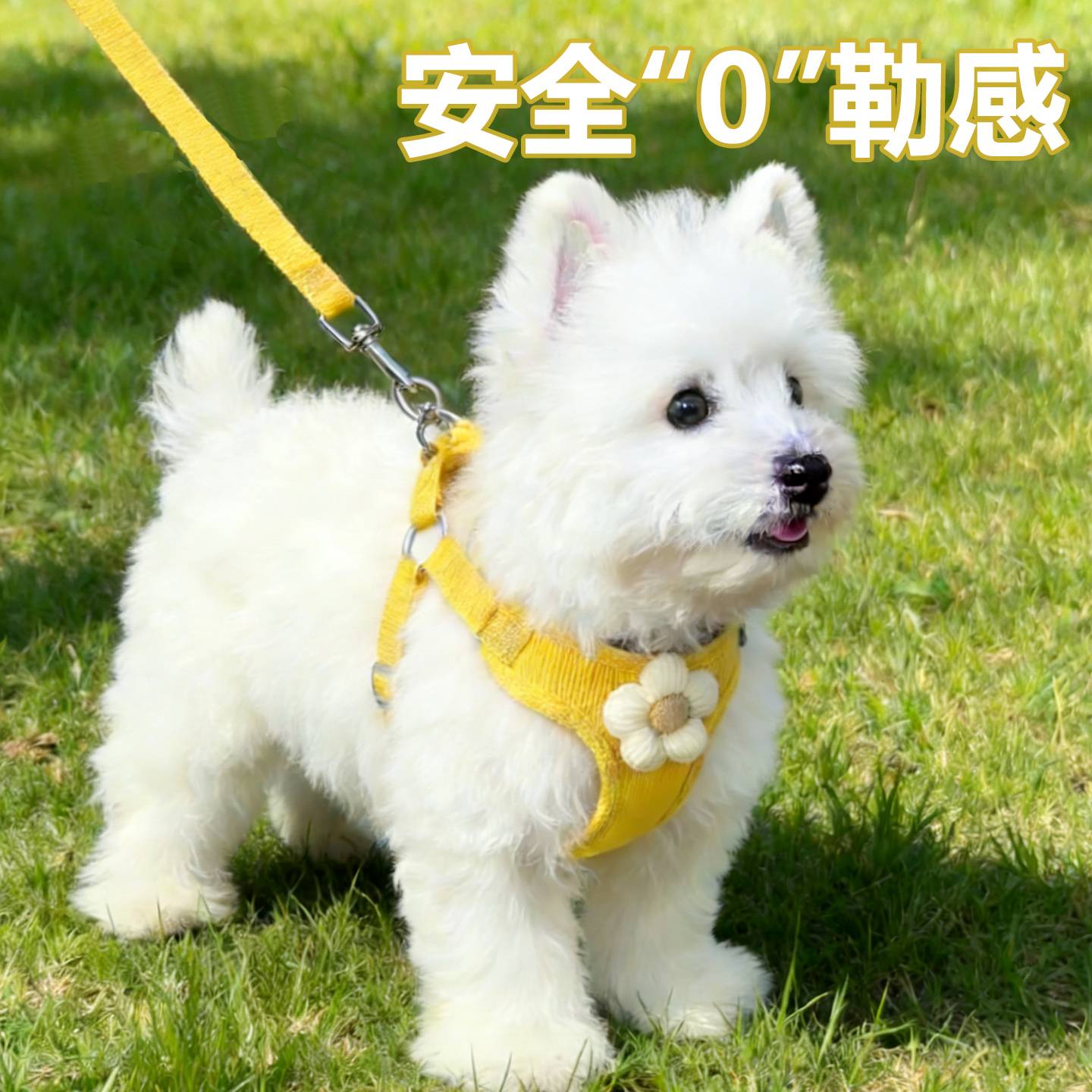 背心式狗狗牵引绳适配中小型犬的