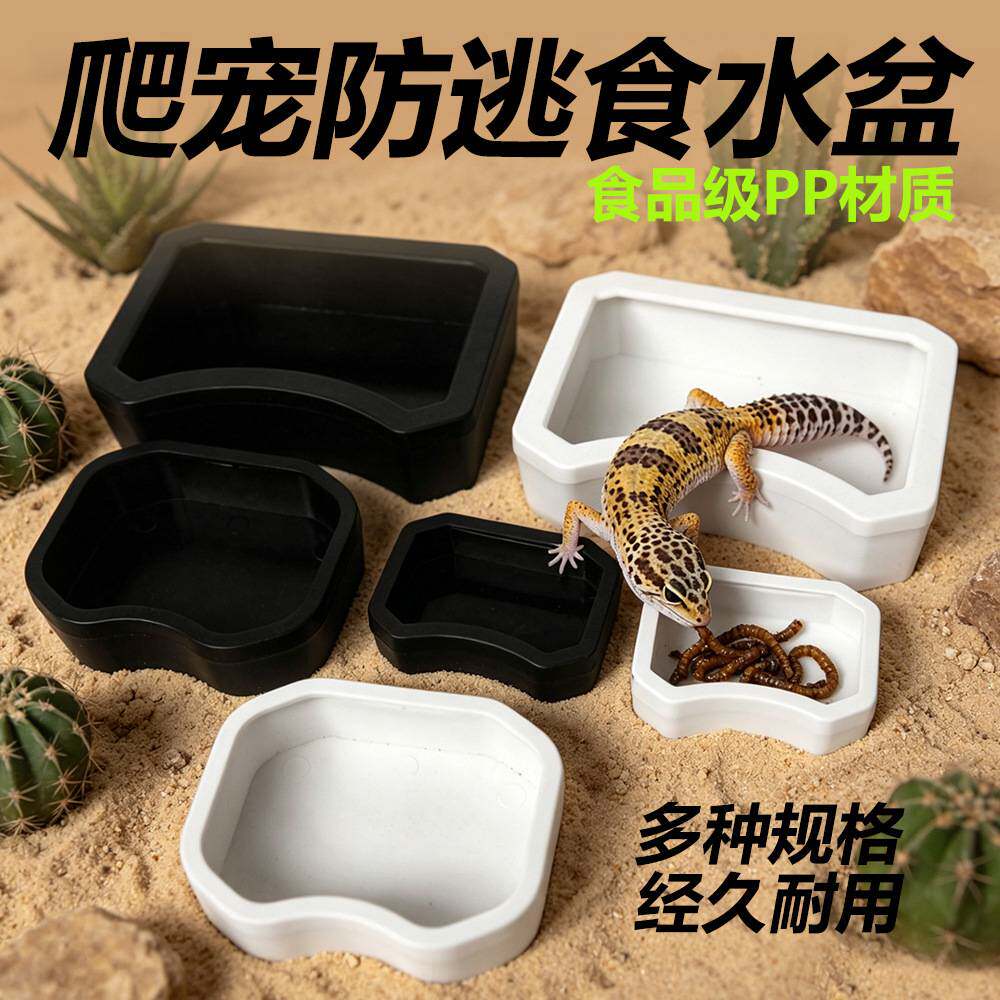 爬宠专用防逃逸喂食喝水盆套装