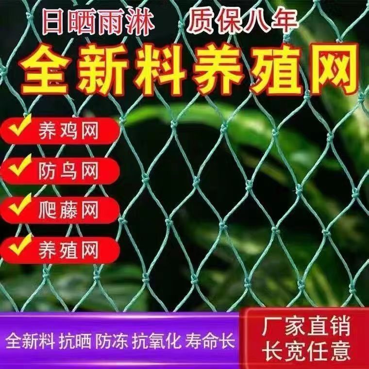 渔网养鸡专用防鸟拦鸡鸭网菜园
