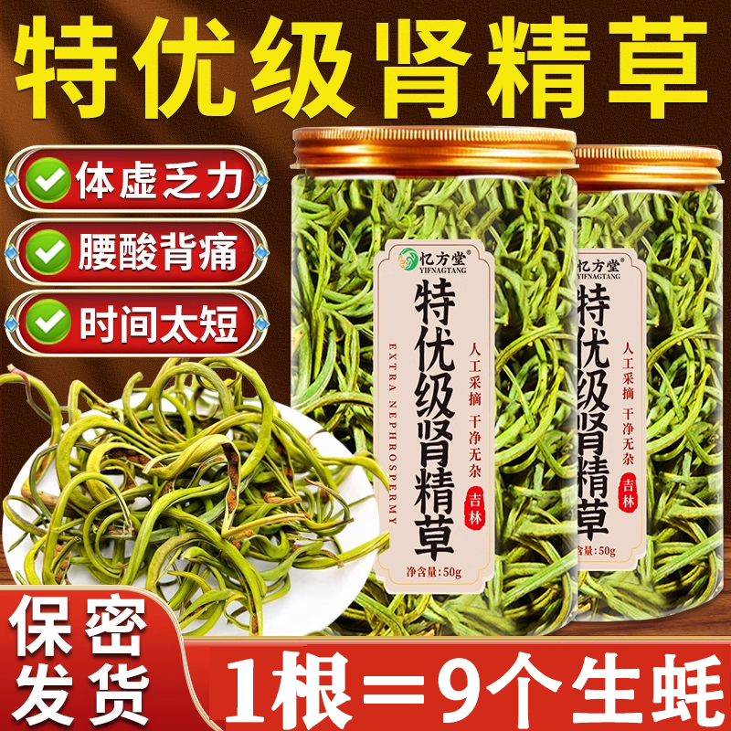 肾精茶黄金草嗷嗷叫东北长白山