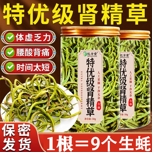 肾精茶黄金草嗷嗷叫东北长白山