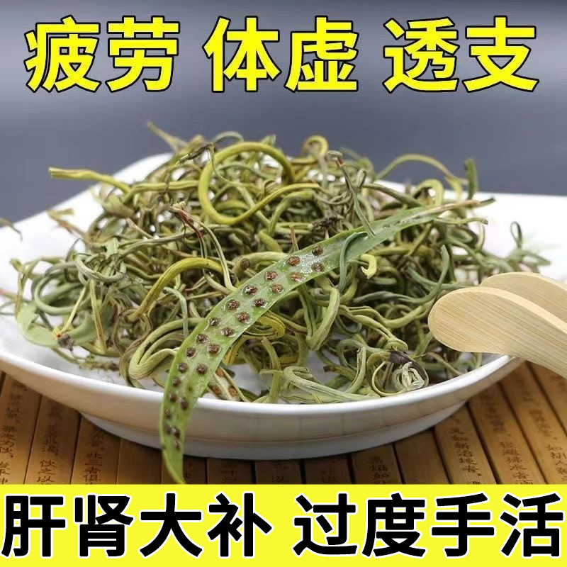 肾精茶黄金草嗷嗷叫东北长白山