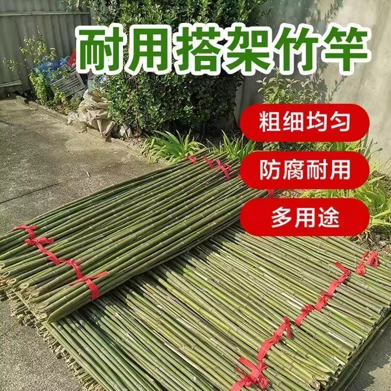 竹竿菜园搭架防腐小细竹杆棍旗杆黄瓜豆角爬藤菜架菜园子围栏篱笆