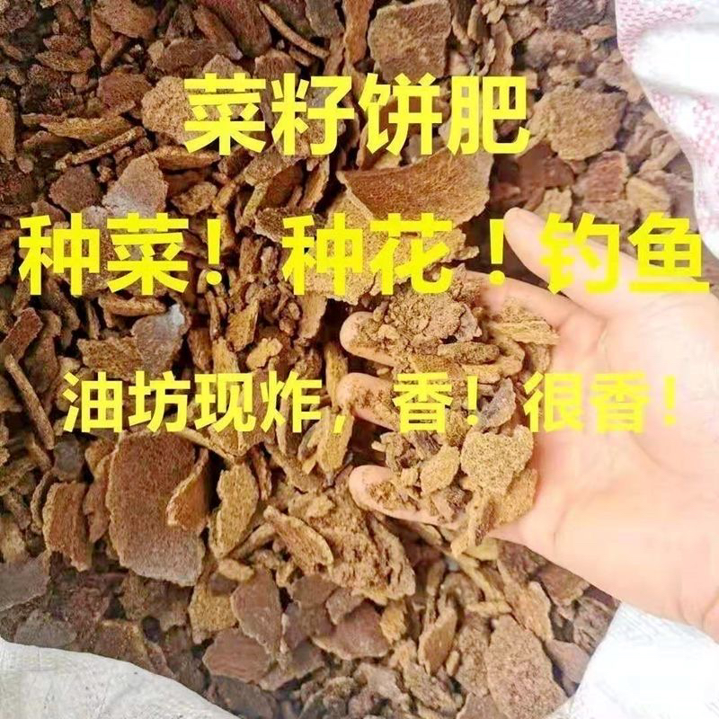 菜籽饼钓鱼窝料肥料种菜饲料果树蔬菜料菜枯油枯饼方块黄枯种菜肥