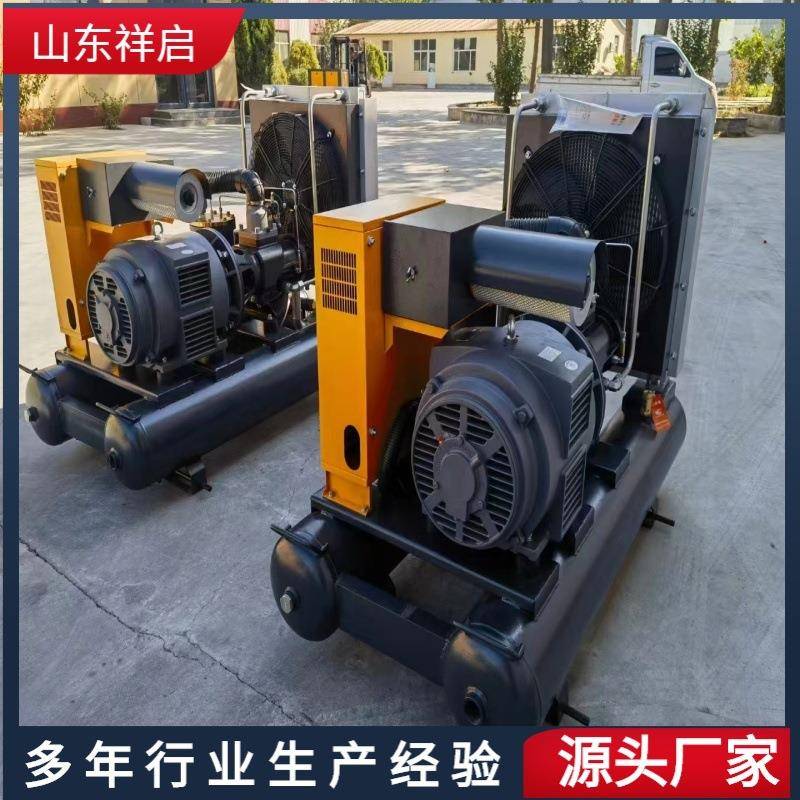 永磁变频小型工业空压机便携式螺杆空压机高压小型气泵