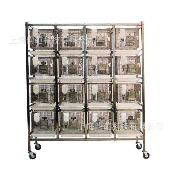 实验室动物笼PP笼PC笼动物笼老鼠笼小白鼠笼饲养笼不锈钢大鼠笼