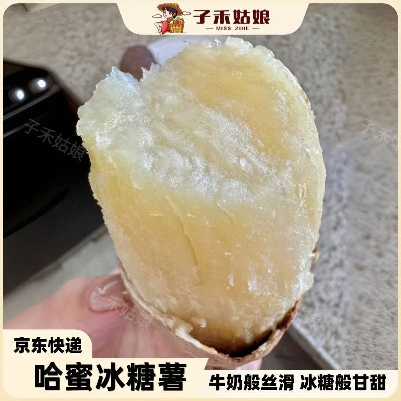 哈蜜冰糖薯奶油蜜薯牛奶薯板栗白心红薯新鲜现挖软糯香甜地瓜番薯