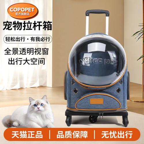 猫包外出便携透气双肩包