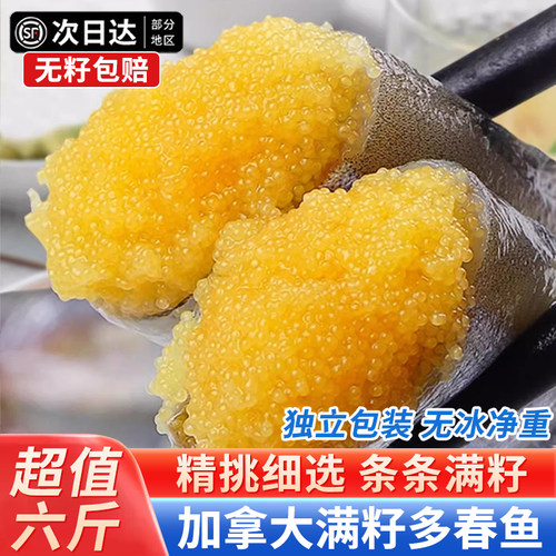 急冻新鲜商用满籽海捕多春鱼