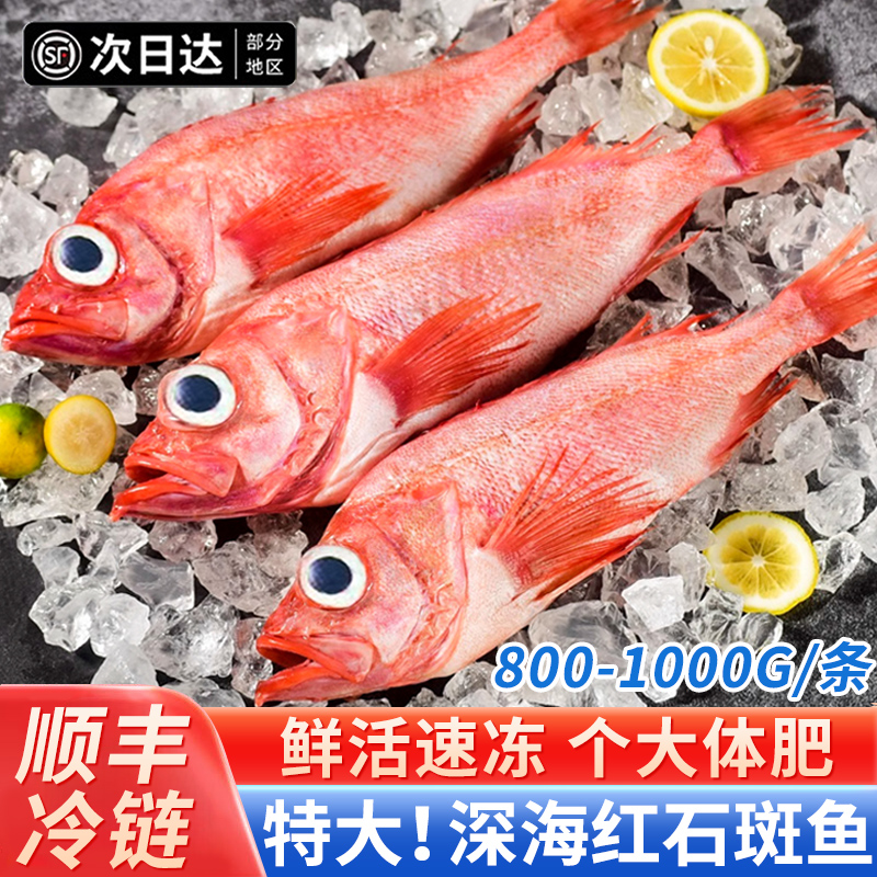 百库活鱼黄花鱼深海生鲜