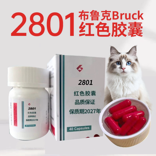 2801BRUCK布鲁克包正品假一赔十