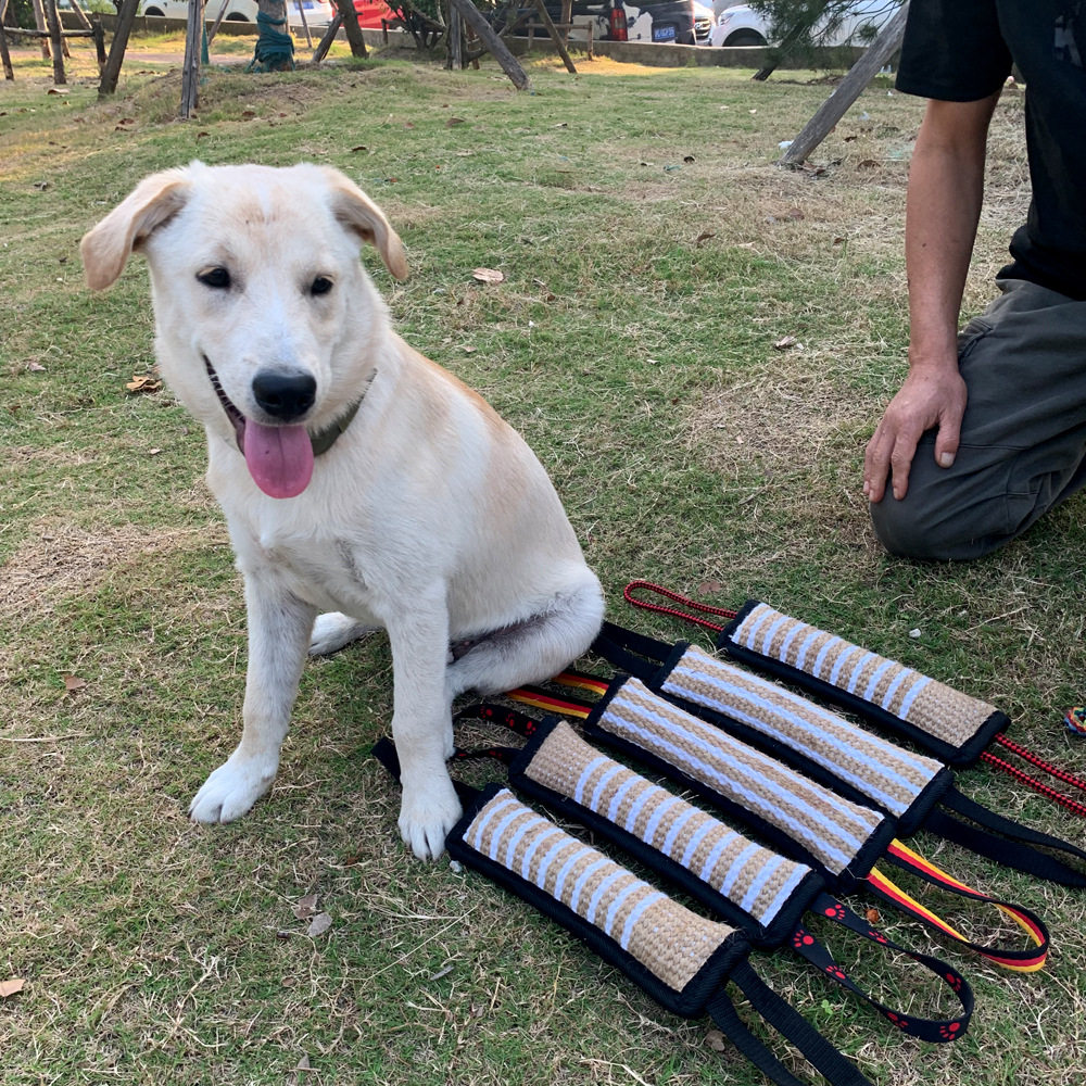 训犬咬棒麻棒德牧训练成