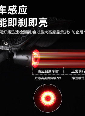 ESLNF自行车尾灯长续航山地车夜间骑行警示灯公路车智能装备配件