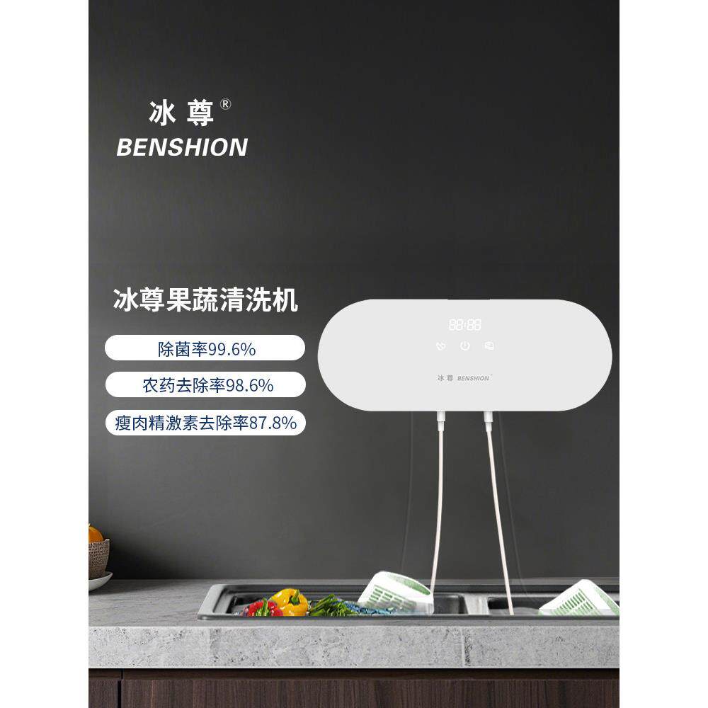冰尊果蔬清洗机家用洗菜机除菌99%食材净化机解毒消毒机净化器M3