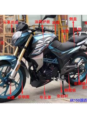 丰豪摩托车 FH150-B/AK150原厂国四手把上下减震支架碟刹车泵