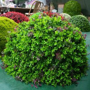 户外绿植井盖遮挡装饰品空心大尤加利草球彷真塑料米兰草球黄杨球