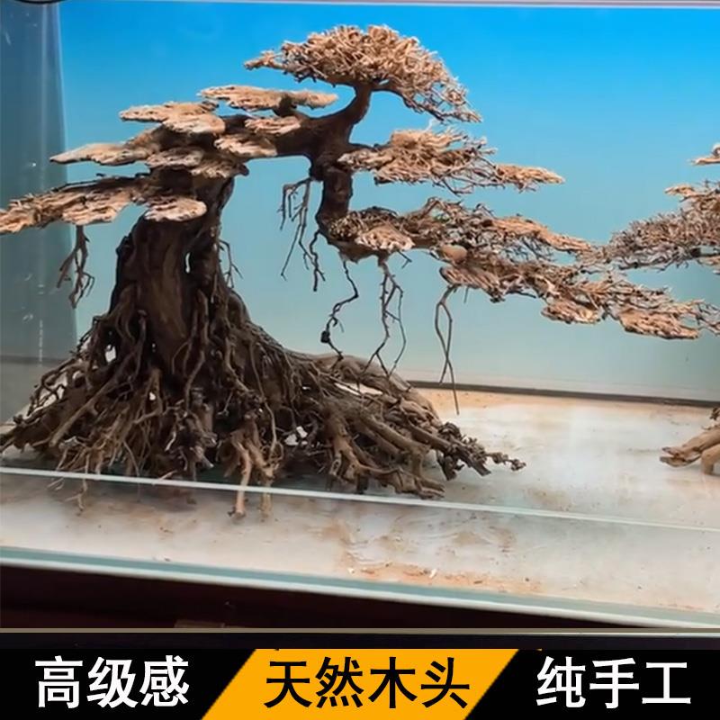 造景树鱼缸溪流缸沉木造景全套骨架景观生态缸海缸根雕成品莫斯树