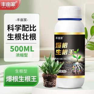 丰亩家爆根生根王移栽扦插生根水营养液植物促根通用多壮苗生根剂
