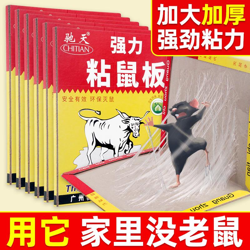 大老鼠粘强力粘鼠板老鼠贴家用扑捉器驱鼠神器强力胶抓黏老鼠克星