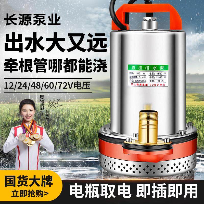 直流潜水泵4860v小型家用浇菜灌溉水泵72v电动车电瓶车通用抽水泵