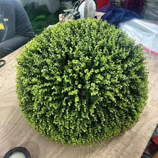 户外绿植井盖遮挡装饰品遮丑尤加利草球彷真塑料米兰草球黄杨球