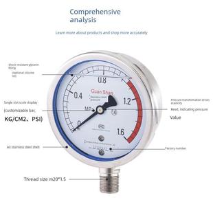 鹳山 不锈钢压力表Y100BF YN100BF不锈钢耐震压力表 高温 氨用