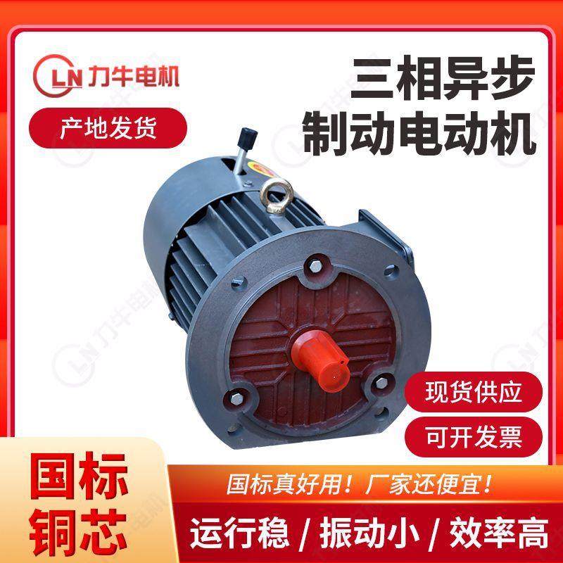 低燥电机YE2系列三相异步电动机立式卧式全铜线圈减速配套电机,清洗/食品/商业设备,沙冰机,淘宝优惠券,粉丝福利购,淘宝优惠卷