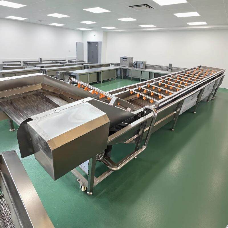 全自动果蔬气泡清洗机 香菇清洗机 喷淋式油菜芹菜净菜去泥洗,清洗/食品/商业设备,果蔬加工设备,淘宝优惠券,粉丝福利购,淘宝优惠卷