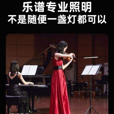 台照乐谱架灯琴谱灯曲谱架灯护眼灯吉他古筝小提琴专用充电乐谱灯