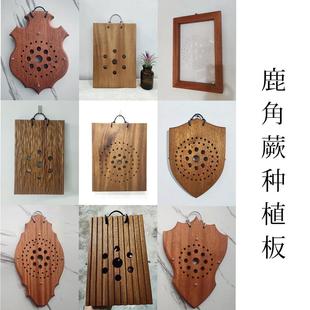 玉女野银 背板 挂板 种植板 马 洞洞木板 鹿角蕨木板种植板