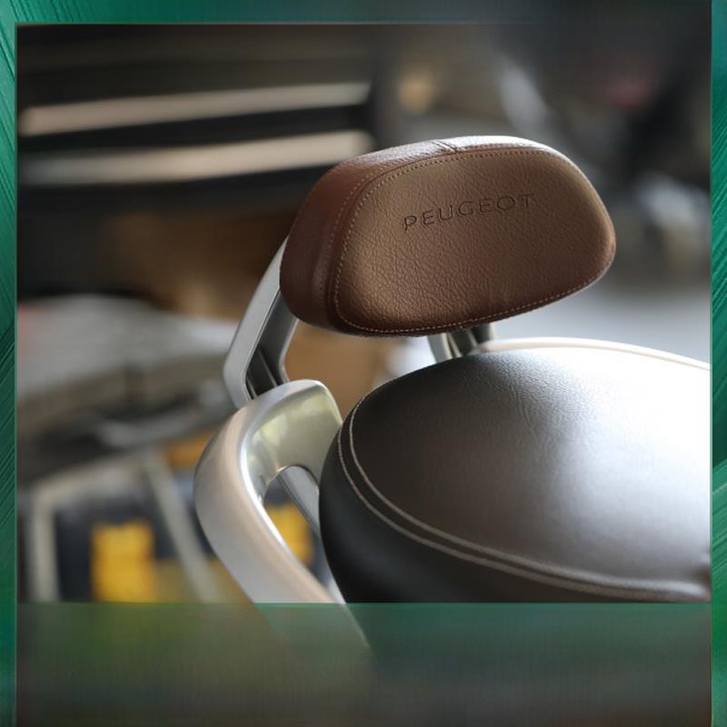 适用于江歌150摩托车靠背专用原装改装配件标致Qp150T-C后扶手