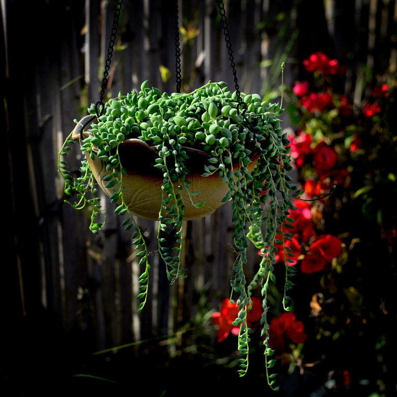 复古吊兰花盆陶瓷吊篮垂吊悬挂大号墙上壁挂佛珠绿萝多肉花盆,鲜花速递/花卉仿真/绿植园艺,花托/移动托盘,淘宝优惠券,粉丝福利购,淘宝优惠卷