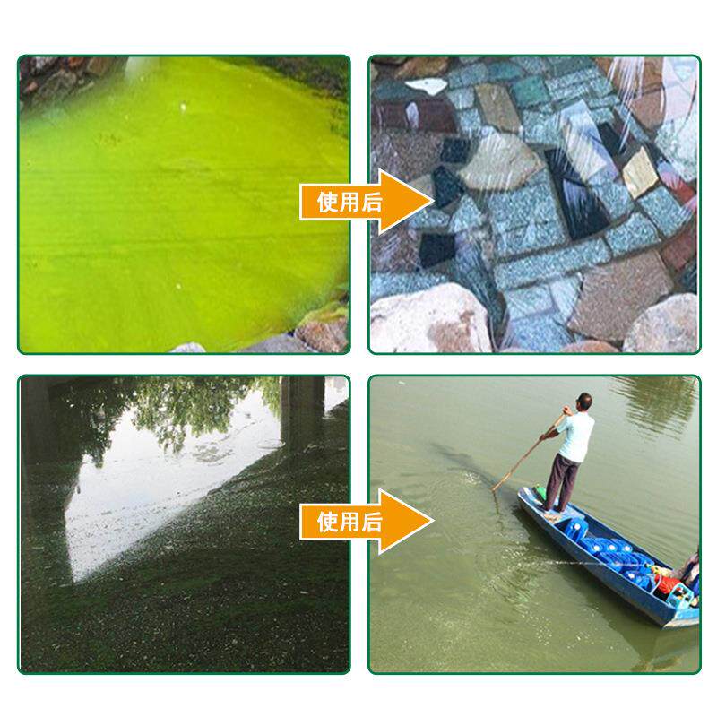 非氧化型水杀菌灭藻剂循水游泳池冷除藻剂却塔景观JX-42池粘泥剥