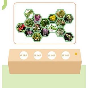 答游戏垃圾动分类食物分科普活动装置类44展品题互互动知识道具抢