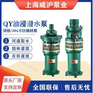 潜水泵大流量高扬程小型家用潜水泵农田灌溉井用抽水泵 QY油浸式