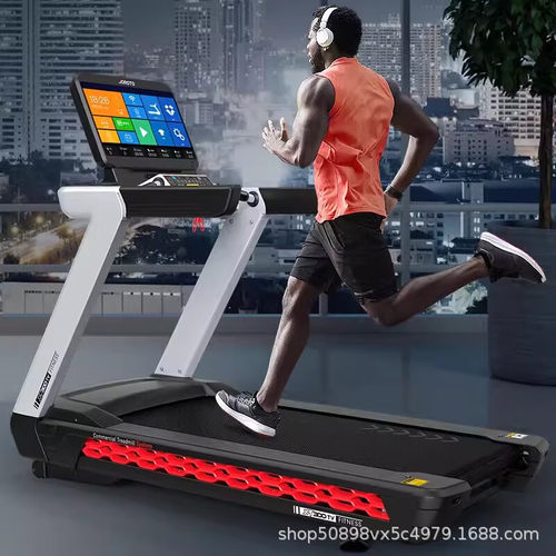 捷瑞特（JOROTO）跑步机家庭用减震跑步机健身房运动健身XT300TV
