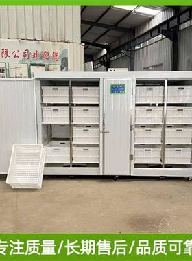 豆芽机绿色健康商用全自动豆芽机双层保温效果好无需人工看管
