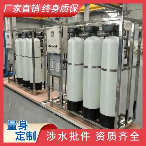 2级反渗透设备ro除盐水设备小型工业去离子装置电子行业纯水设备