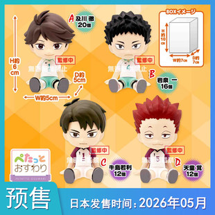 【预售定金】 排球少年 Q版坐姿玩偶 2 及川徹岩泉一到货补邮费